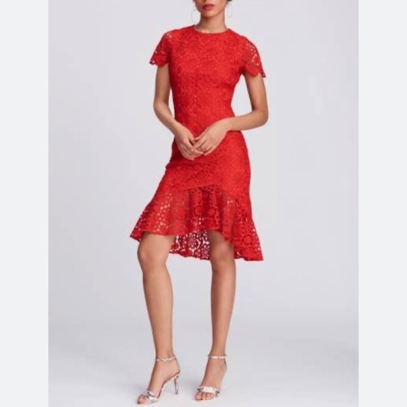 Eliza J Dresses & Skirts - NWT Eliza J Ruffle Hem Lace Sheath Dress in Red Size 12P